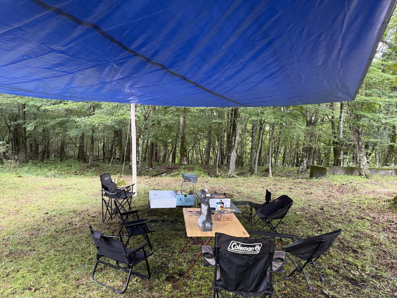 青空の下でのBBQ